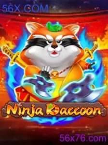 NinjaRaccoon